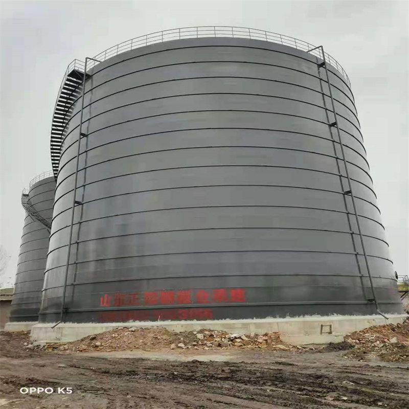 镇巴3万吨大型钢板库